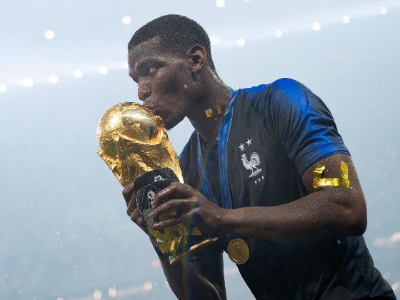 WIFI下打开 专稿 春节档战局持续升温，纪录电影《重返·狼群》近日高调官宣重映，定档大年初三。