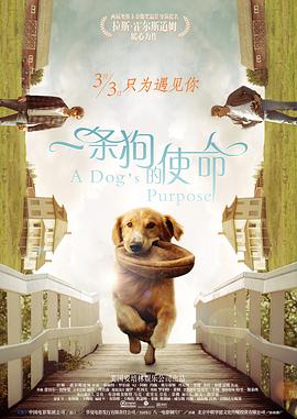 马群耀《姥姥的外孙》内地定档8.23 2024-08-07 由泰国人气演员马群耀主演的电影《姥姥的外孙》已正式引进，将于8月23日在中国内地上映，并发布了定档预告和海报。