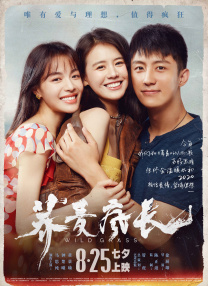 11月21日，迪士尼发布了最新力作《星愿》两位中文配音刘亦菲、于适的精美写真。