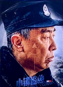 1965年，李行执导的《婉君表妹》和《哑女情深》，王引执导的《烟雨濛濛》，以及由港赴台的导演李翰祥执导的《菟丝花》问世。